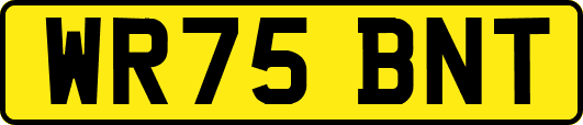 WR75BNT