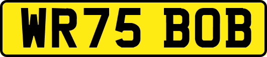 WR75BOB