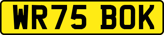 WR75BOK