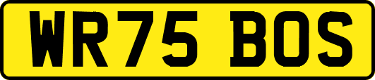WR75BOS