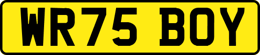 WR75BOY