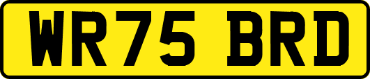 WR75BRD