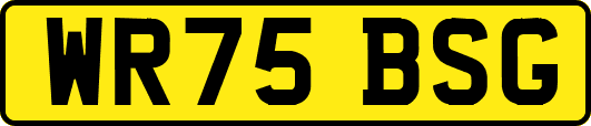WR75BSG