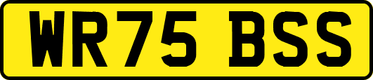 WR75BSS