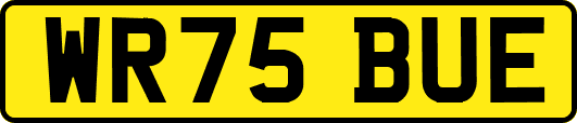 WR75BUE