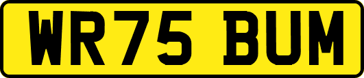 WR75BUM