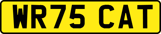 WR75CAT