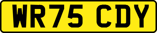 WR75CDY