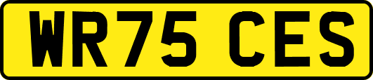 WR75CES