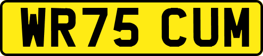 WR75CUM