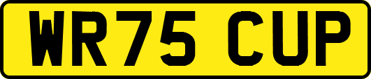 WR75CUP