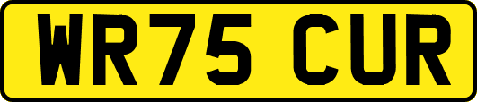 WR75CUR
