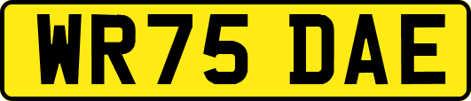 WR75DAE