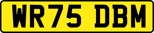 WR75DBM