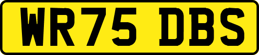 WR75DBS