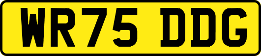 WR75DDG