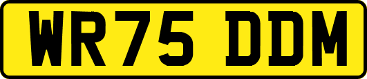 WR75DDM