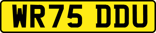 WR75DDU