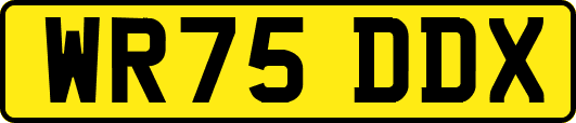 WR75DDX