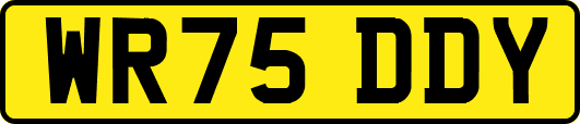 WR75DDY