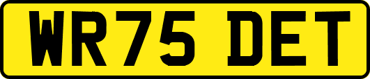 WR75DET