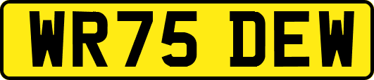 WR75DEW
