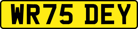 WR75DEY