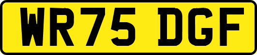 WR75DGF