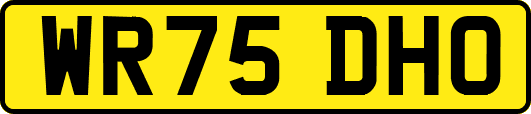 WR75DHO