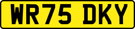 WR75DKY