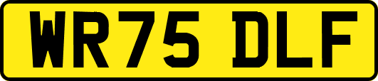 WR75DLF