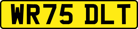 WR75DLT