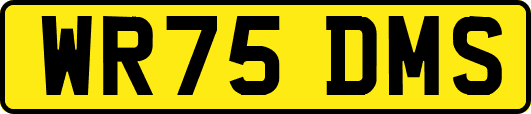 WR75DMS