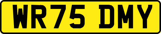 WR75DMY