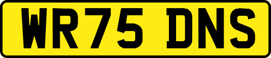 WR75DNS