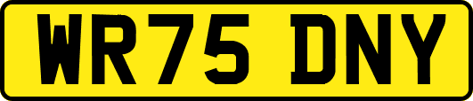 WR75DNY