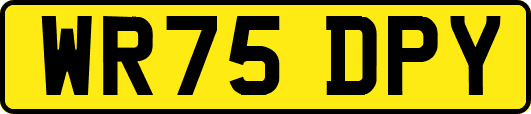 WR75DPY