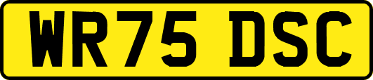 WR75DSC