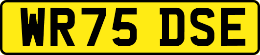 WR75DSE