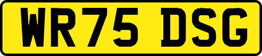 WR75DSG