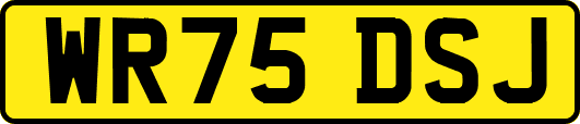 WR75DSJ