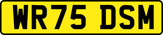 WR75DSM