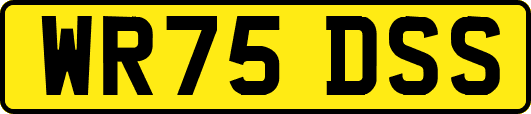 WR75DSS