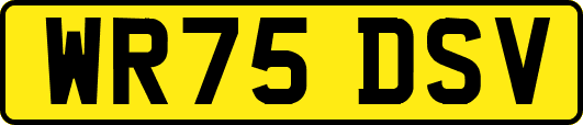 WR75DSV