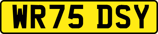 WR75DSY