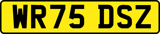 WR75DSZ