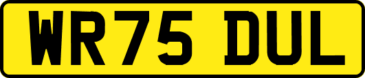 WR75DUL