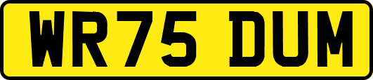 WR75DUM