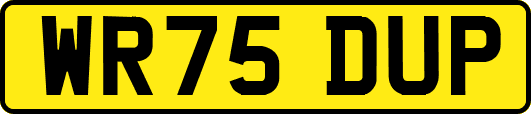 WR75DUP