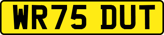 WR75DUT